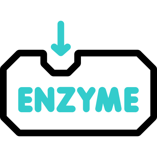 enzima Basic Accent Outline icono
