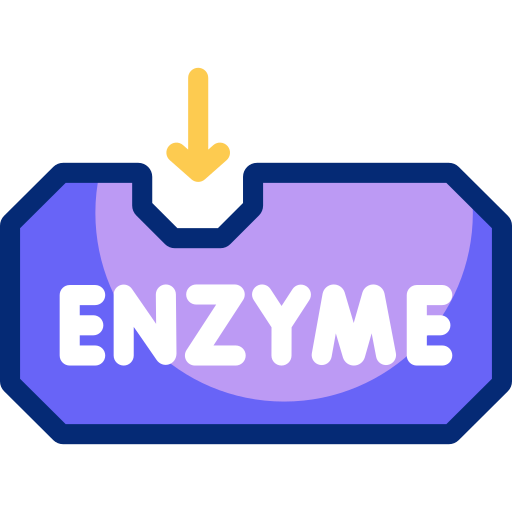 enzym Basic Accent Lineal Color icon