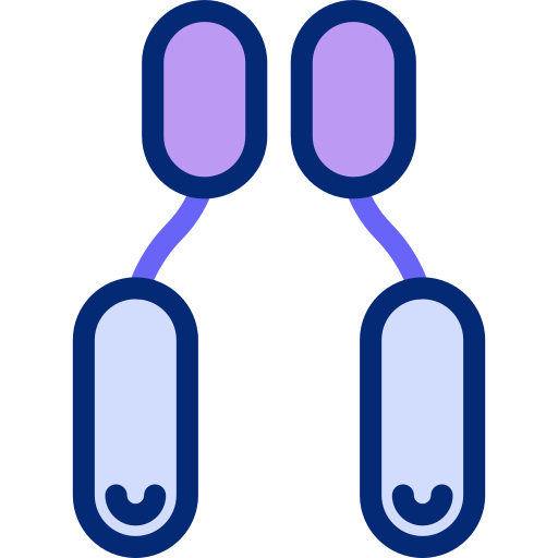 enzym Basic Accent Lineal Color icon