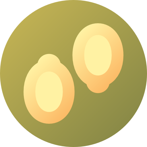 Тыквенное семечко Flat Circular Gradient иконка