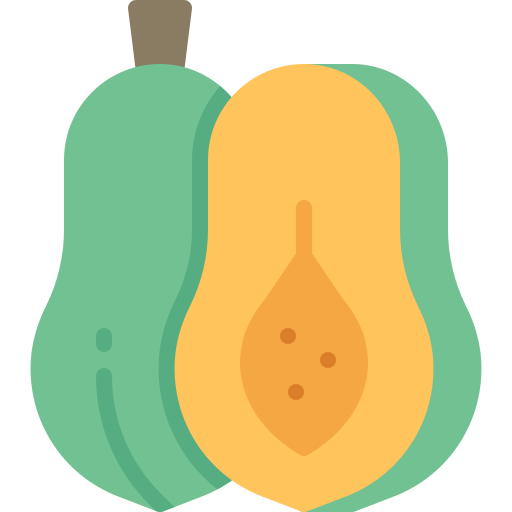 papaya Generic color fill icon