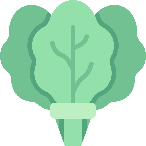 Spinach Generic color fill icon