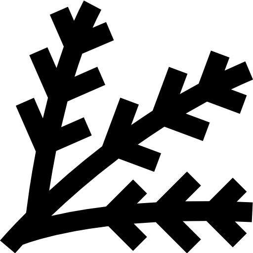 abeto Super Basic Straight Outline icono