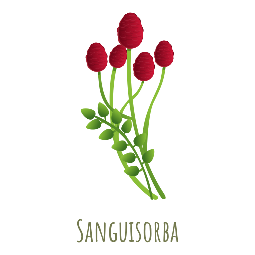 sanguisorba Generic Others icoon