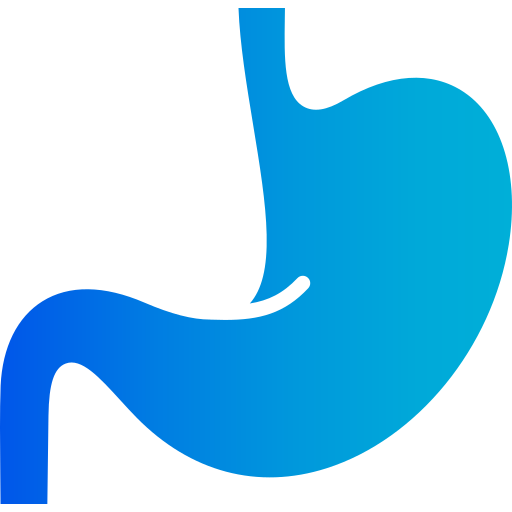胃 Generic gradient fill icon