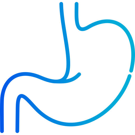 Stomach Generic gradient outline icon