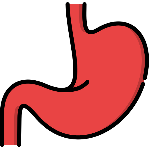 Stomach Generic color lineal-color icon