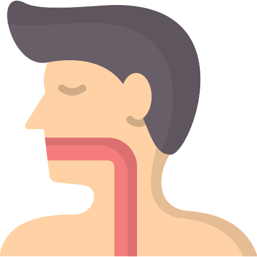 Esophagus Generic color fill icon