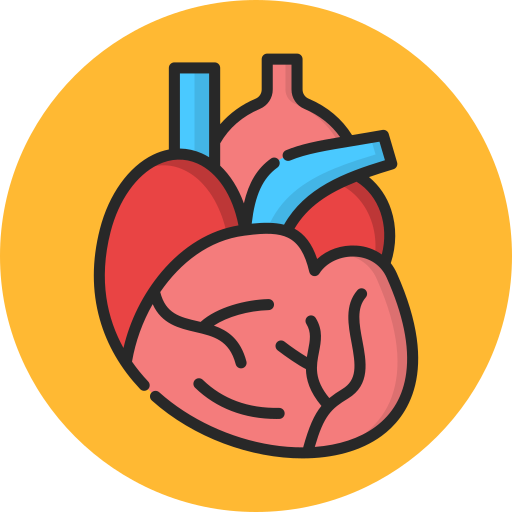 Heart Generic color lineal-color icon