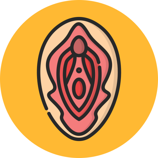 vagina Generic color lineal-color icono