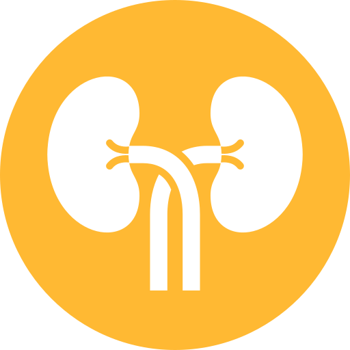 Kidneys Generic color fill icon