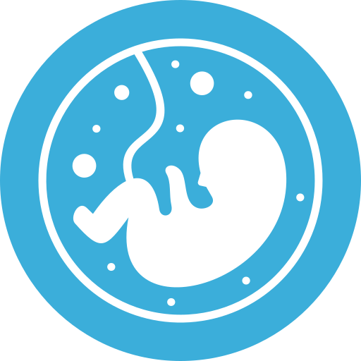 płód Generic color fill ikona