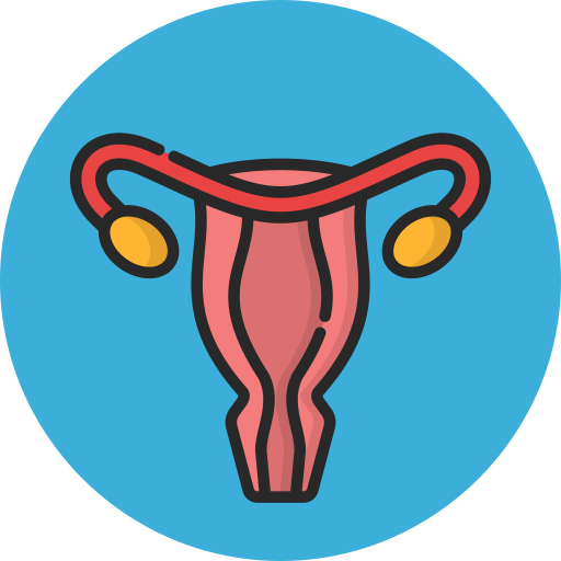 gebärmutter Generic color lineal-color icon