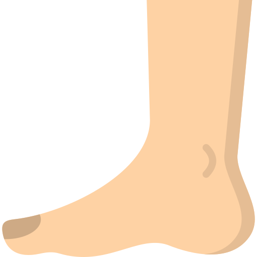 Foot Generic color fill icon