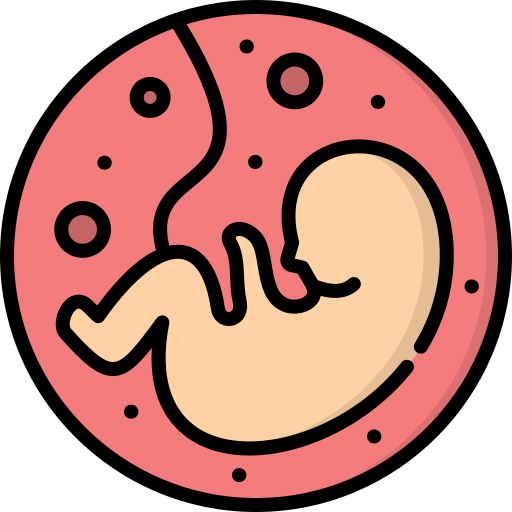 胎児 Generic color lineal-color icon