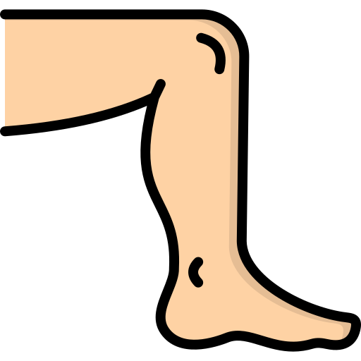 noga Generic color lineal-color ikona
