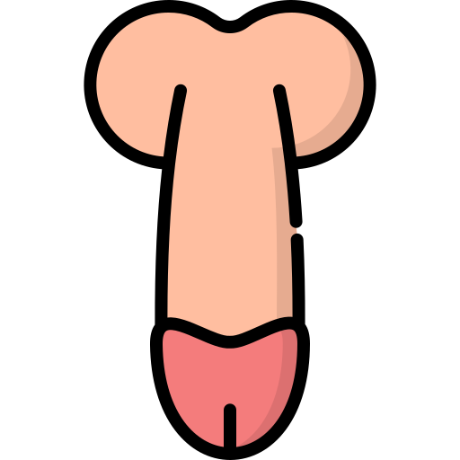 Penis Generic color lineal-color icon