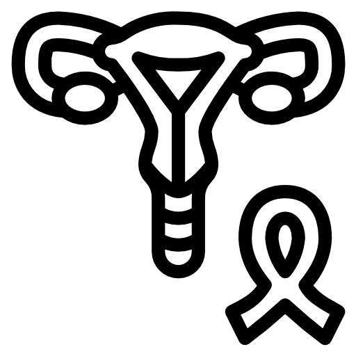 Матка Berkahicon Lineal иконка