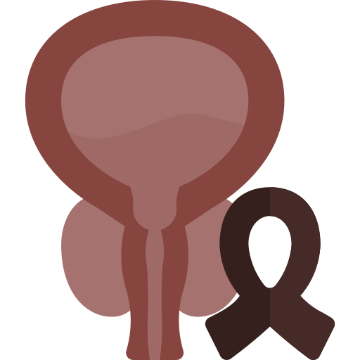 Prostate Berkahicon Flat icon