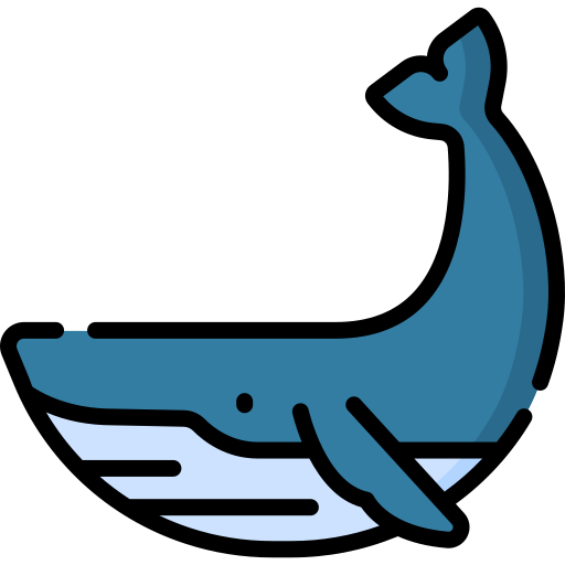 baleia Special Lineal color Ícone