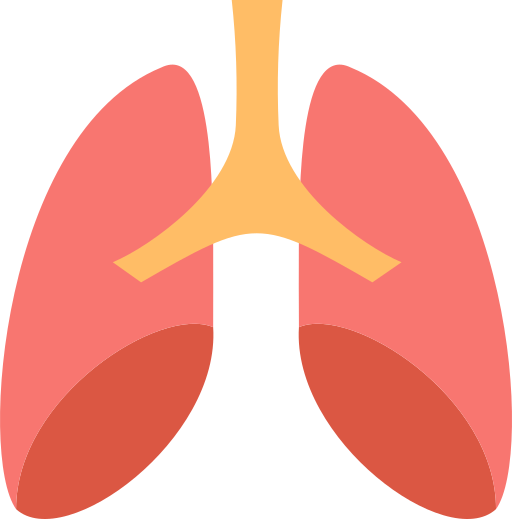 pulmões Generic Others Ícone