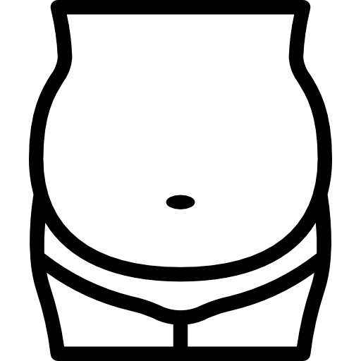 gordo Berkahicon Lineal icono