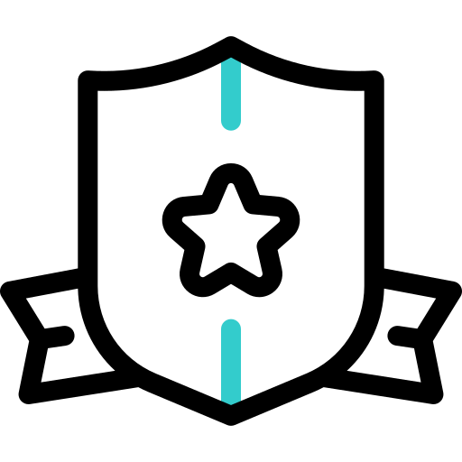방패 Basic Accent Outline icon