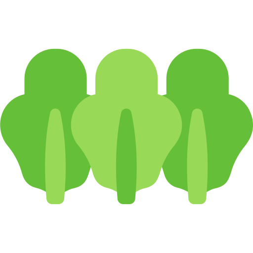 Lettuce Generic color fill icon