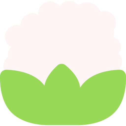 coliflor Generic color fill icono