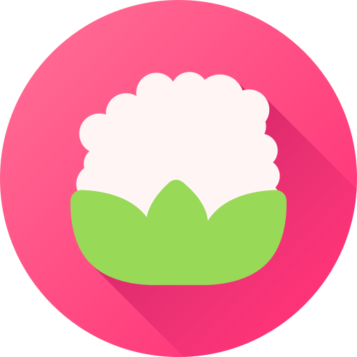 Cauliflower Generic gradient fill icon