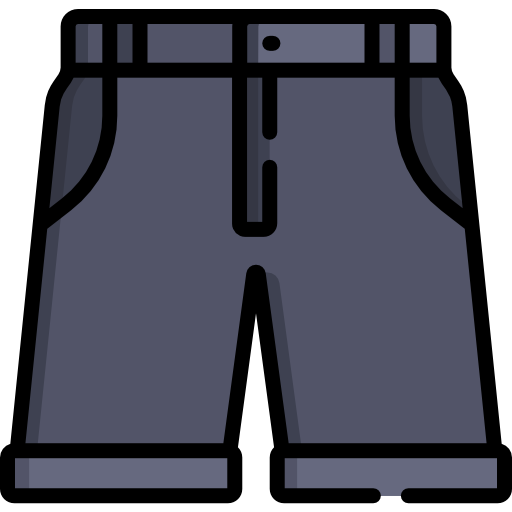 Shorts Special Lineal color icon