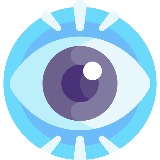 vision Detailed Flat Circular Flat icon