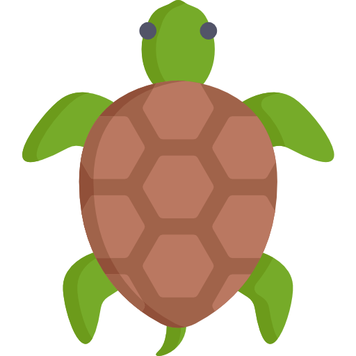 tortuga Special Flat icono