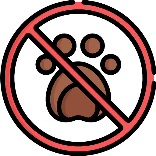 No animals Special Lineal color icon