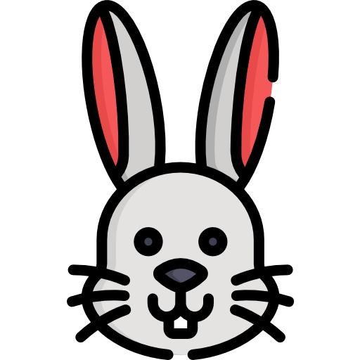 Rabbit Special Lineal color icon
