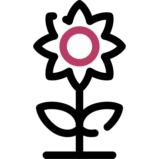 girasol Generic color outline icono