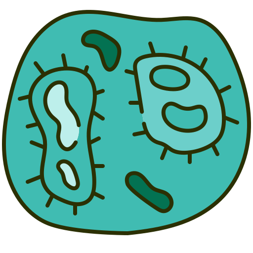 bakteria Generic color lineal-color ikona