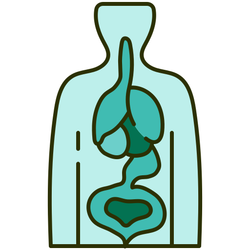 Human organs Generic color lineal-color icon