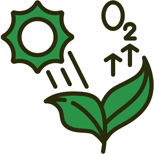 Photosynthesis Generic color lineal-color icon