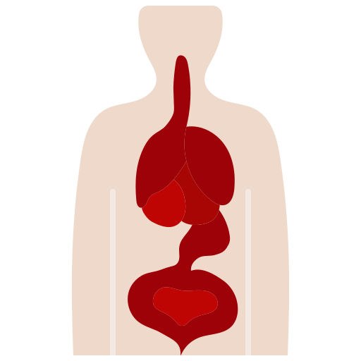 Órganos humanos Generic color fill icono