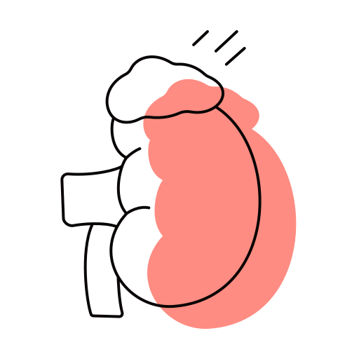 glândula adrenal Generic color lineal-color Ícone