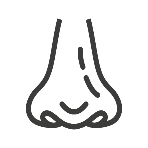 鼻 Generic outline icon