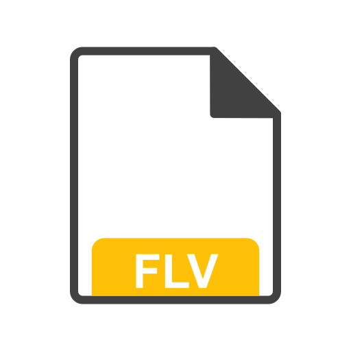 flv Generic outline icon