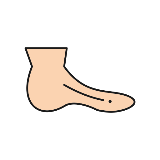 Leg Generic color lineal-color icon