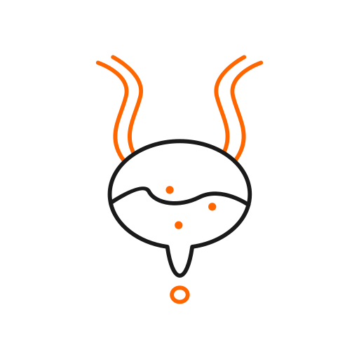 器官 Generic outline icon
