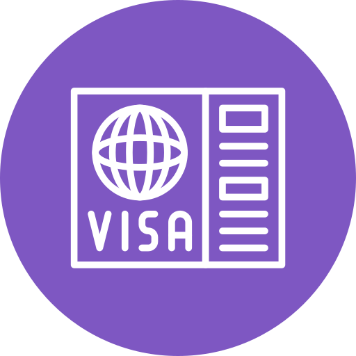 visa Generic color fill Icône