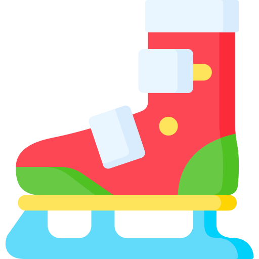 Ice skating Special Flat icon