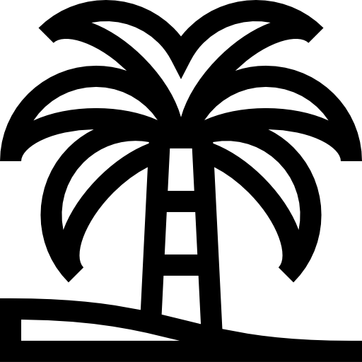 palmier Basic Straight Lineal Icône