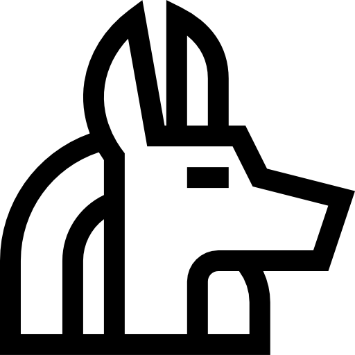 anubis Basic Straight Lineal icono