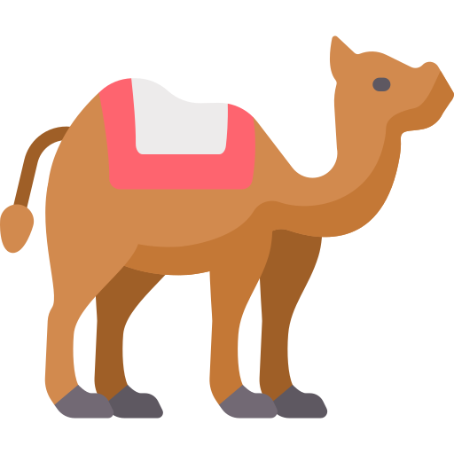 kameel Special Flat icoon